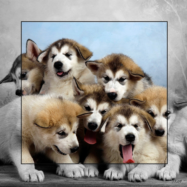 KUVASSA J-PENTUE 2007 TEEMU KERÄNEN