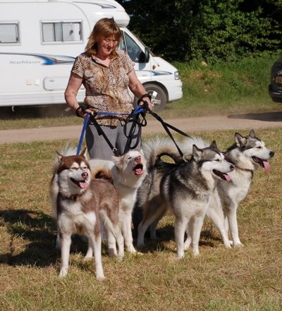 KUVASSA LYNN JA MUUTTILAUMA